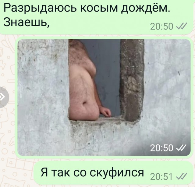 Так себе картинки 20.07.24