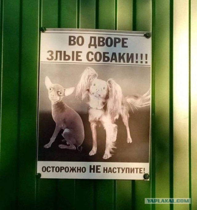 К октябрю Литва подготовит национальный план массовой эвакуации, — министр внутренних дел Литвы Билотайте