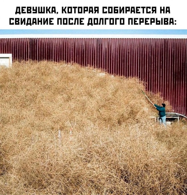Весёлый полтишок 04.10.2024