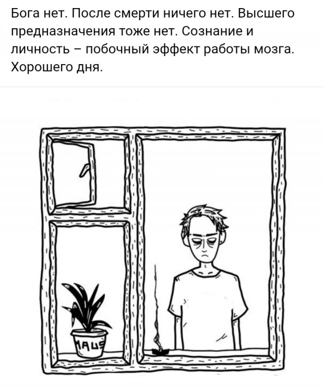 Весёлый полтишок 01.11.24