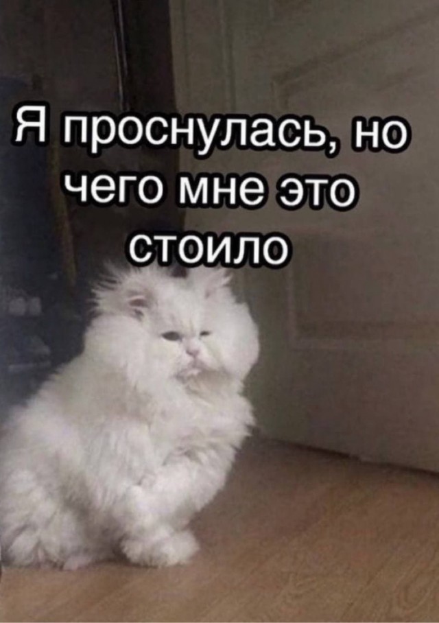 Давайте опубликуем