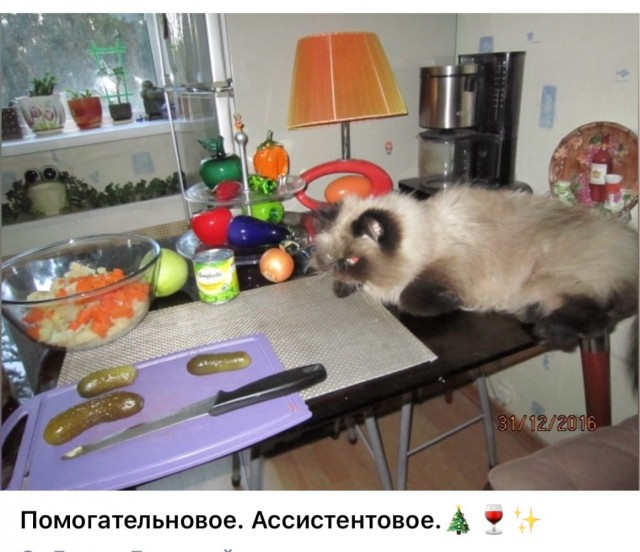 Так себе картинки 31.12.24