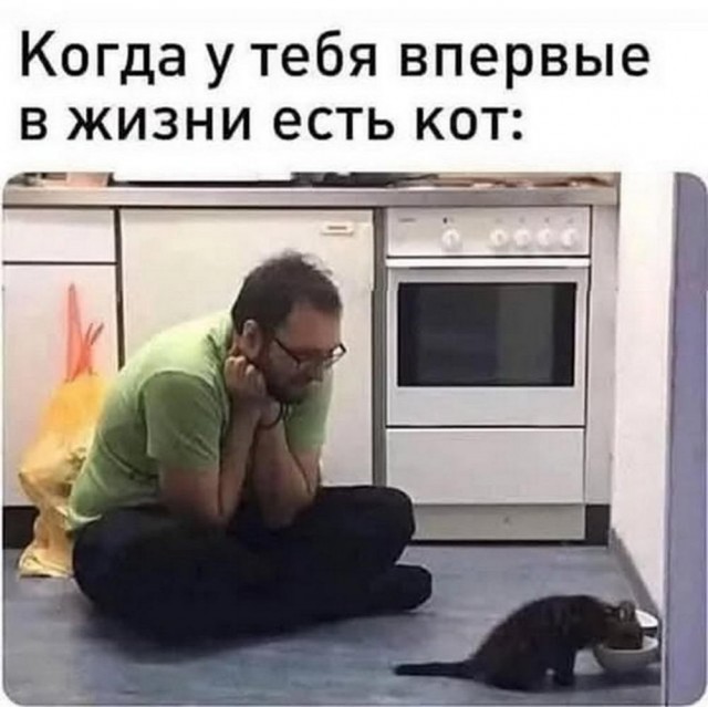 Веселые картинки после длинных выходных (09.01)
