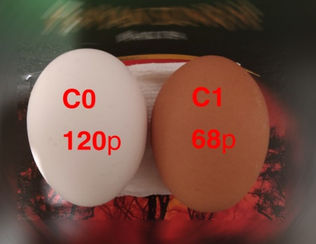 РоковЫе яйца