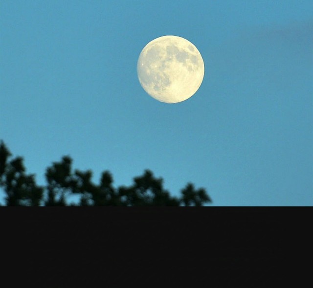 Работайте негры!