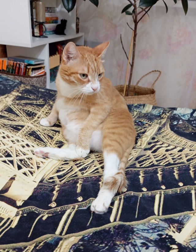 Косоглазый Смайлик