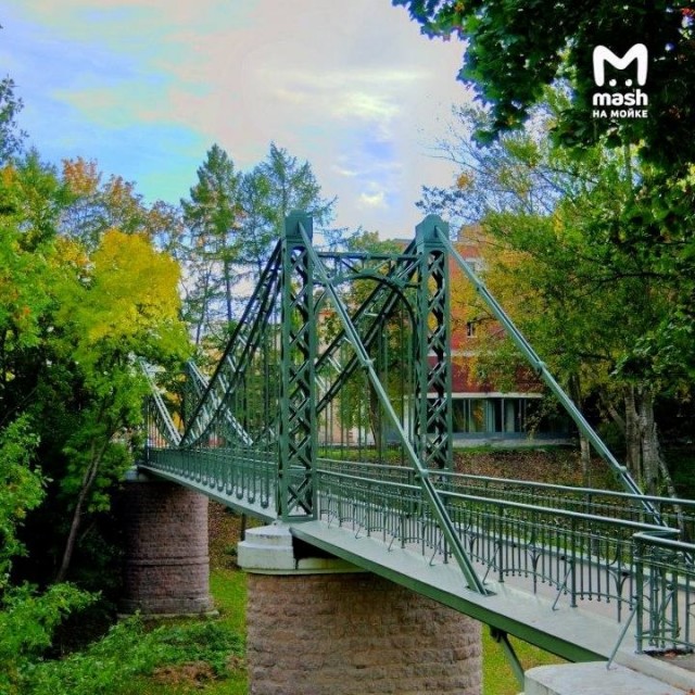 Пытаясь спасти котёнка, 12-летний житель Кронштадта сорвался в овраг с подвесного Макаровского моста — сейчас за его жизнь борются врачи.