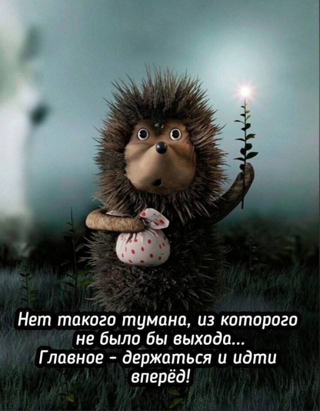 Прикольные и просто красивые картинки 13.06.2025