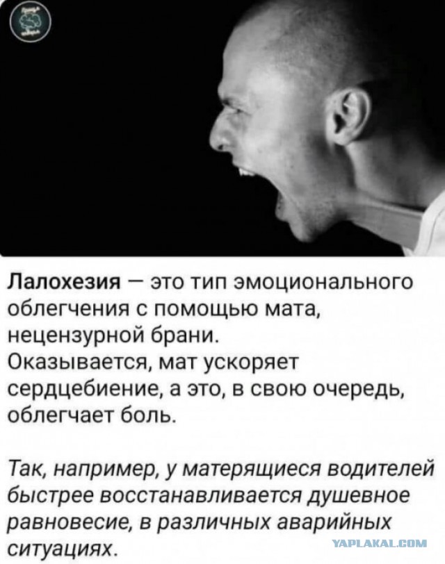Встречайте, «бэдроттинг»