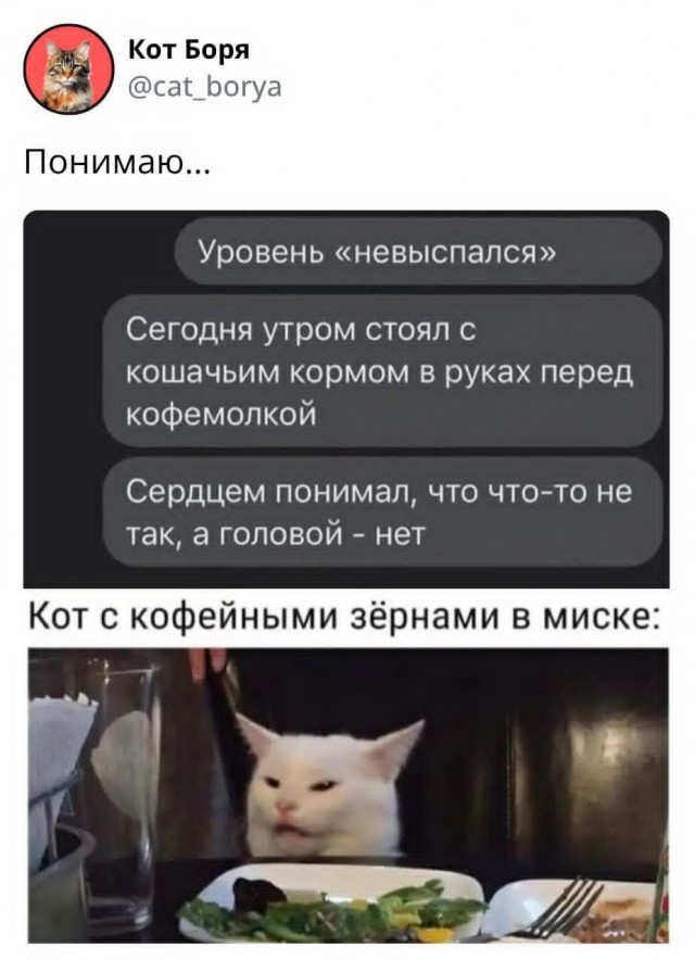 Картинки для деградации 47 (разной степени свежести)