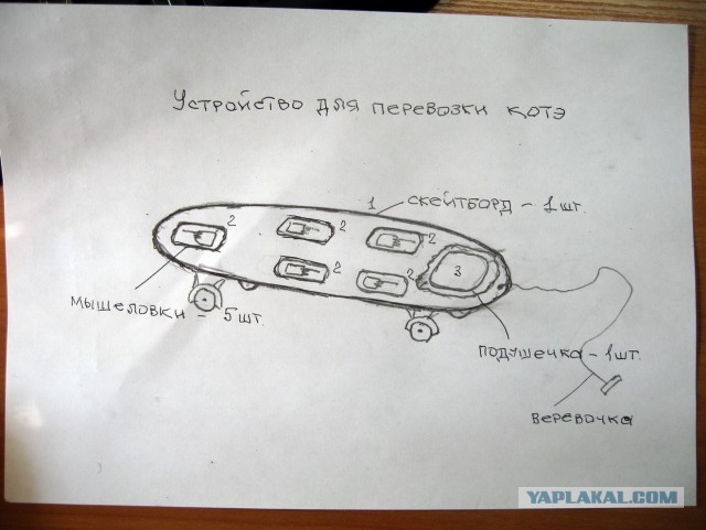 Подарок другу на ДР. Переносилка для котов