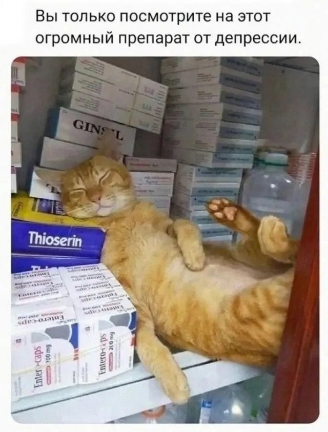 Вторника картинки
