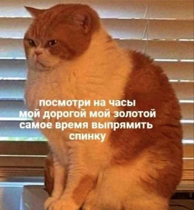 Картиночки, баянчики 16 декабря