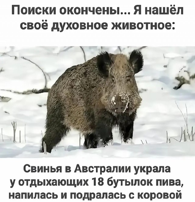Деградация