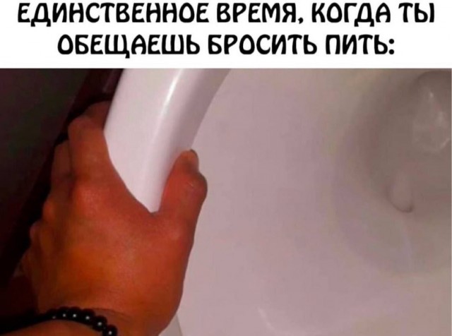 Хозяин, там твой друг пришёл!