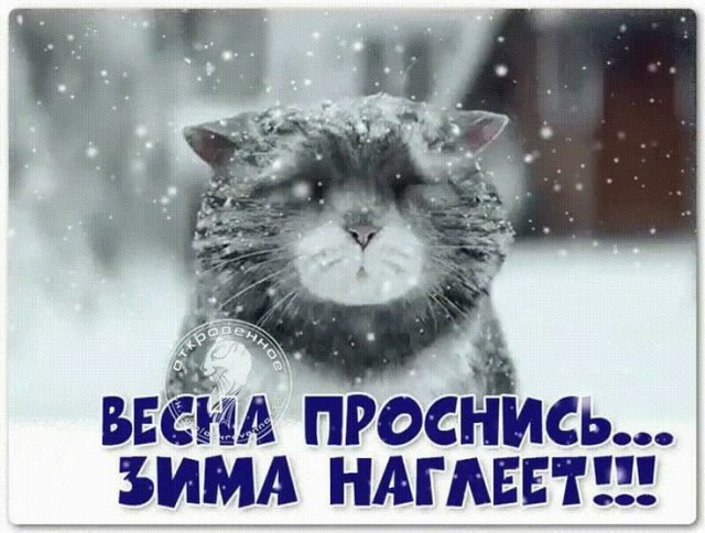 Проводим зиму.