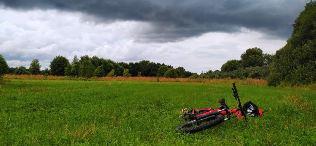 Поколение без руля: почему зумеры не хотят покупать автомобили