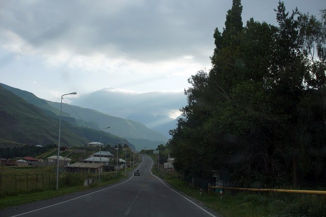 Абхазия (море), Армения (абрикосы)