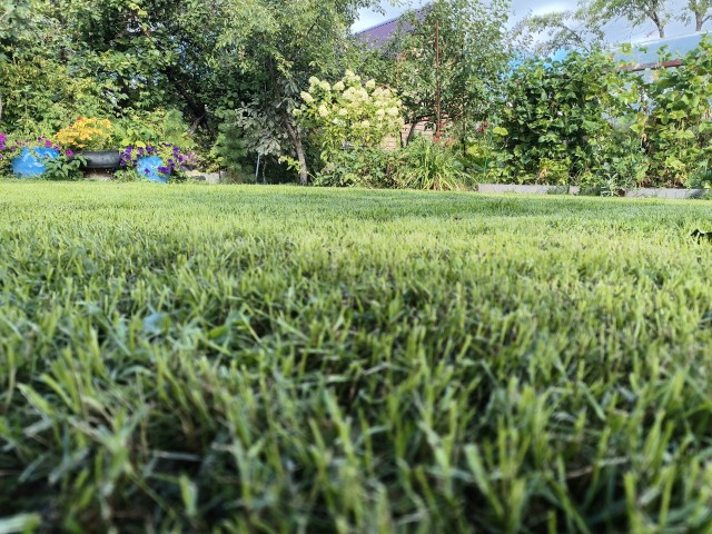 Дайте поспать!