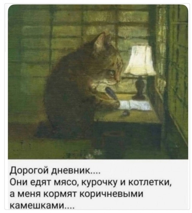 С гнильцой ты, Саня