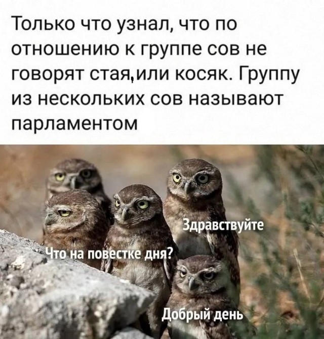 Многие из нас тоже, парламентарии в некотором роде