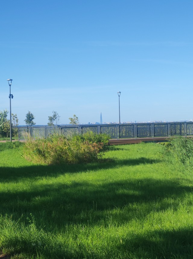 Поймал день лета в Питере.