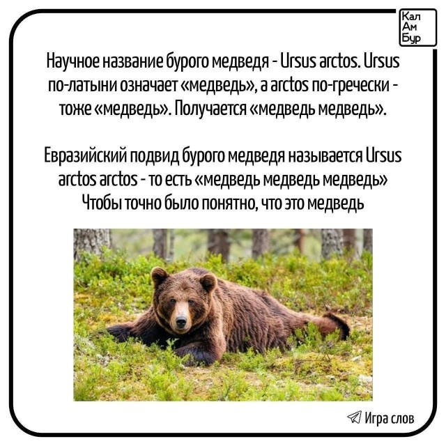 Картинки для деградации 250 (разной степени свежести)