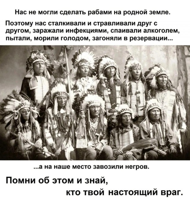 Структура коренных народов Северной Америки.