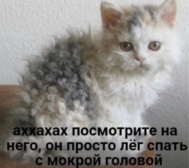 Веселое настроение в картинках 14.08.26