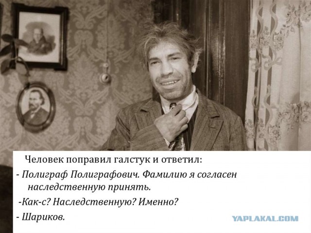 Спасение Совы