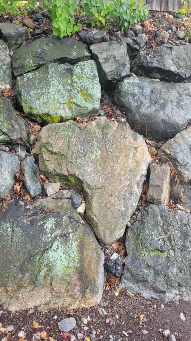 Интересные пятничные фотографии со всего мира