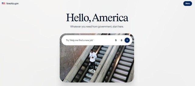 В США изобрели Госуслуги