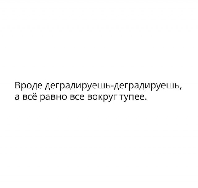 Картинки всякие разные невпопад 1.6
