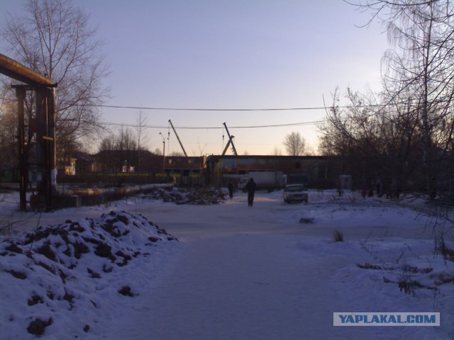 Садик!