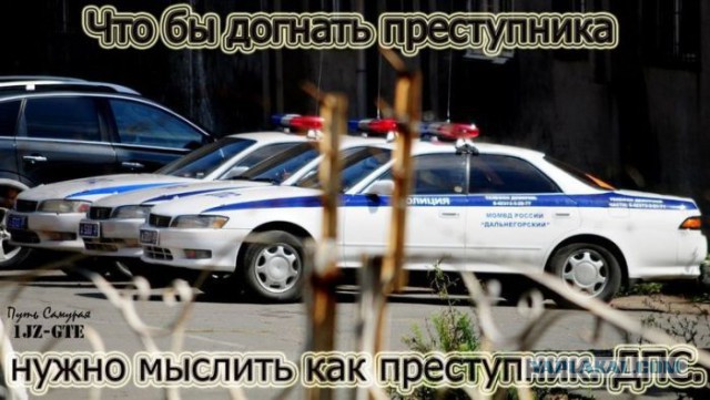 Экспортные "Тигры"