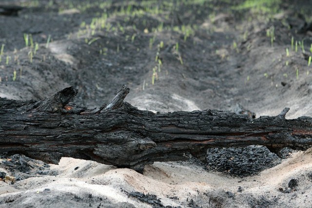 Пожар, которого "не было"...