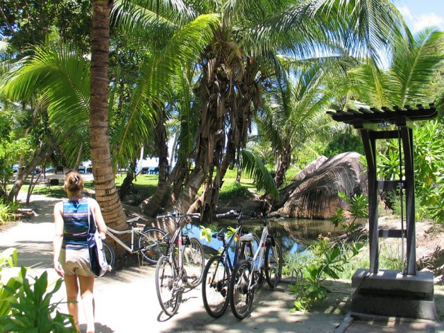 Как я съездил на Сейшелы