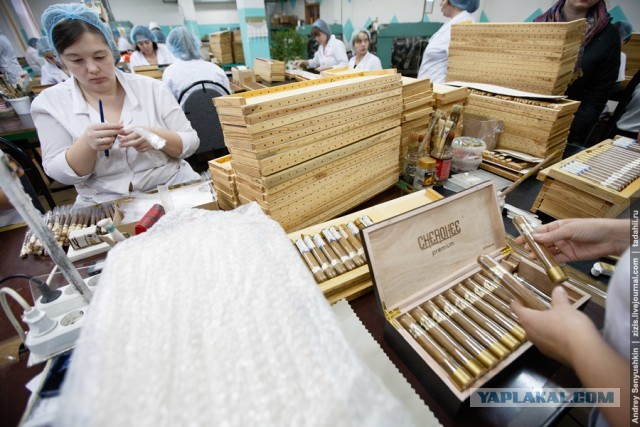 Как в России делают сигары