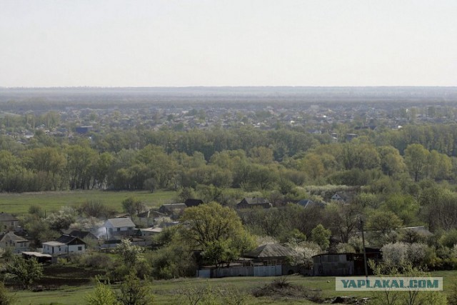 Вдоль по Дону- Батюшке