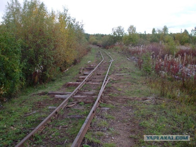 Сибирская деревенька