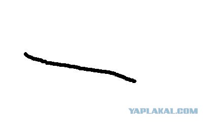 Животных рисовать очень легко!