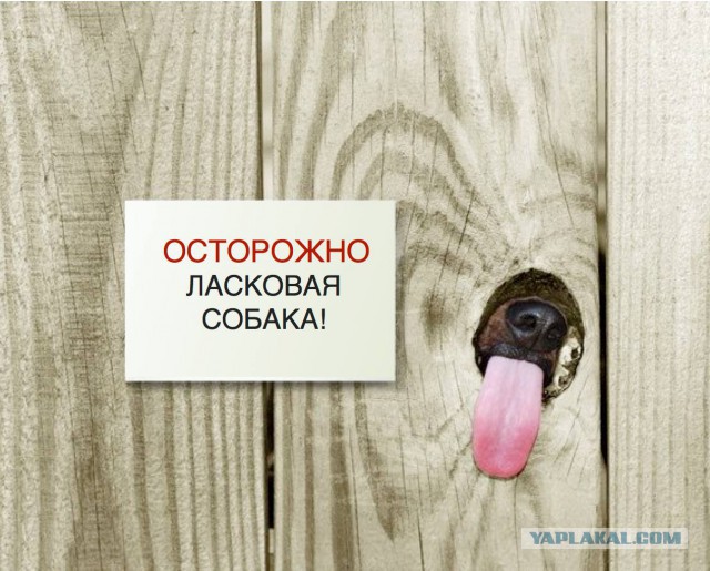 Весёлости