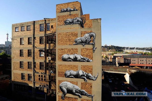 Реалистично до невозможности: уличное искусство