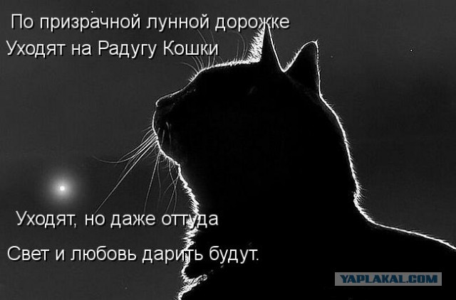 Друг ушёл