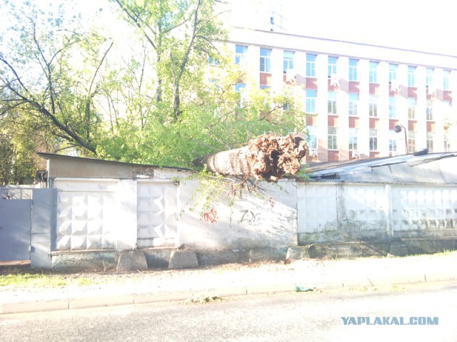 Как живут на загнивающем Западе...