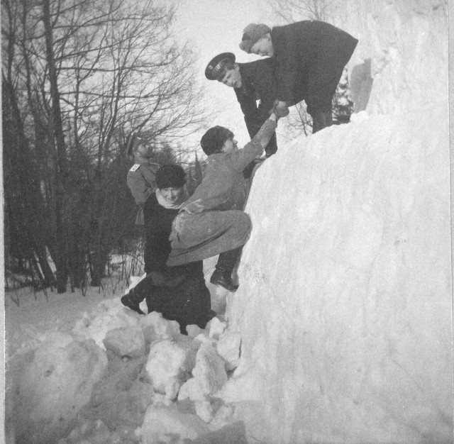 Новогодние забавы царской семьи