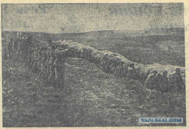 О победах и поражениях