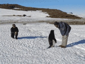 Фотожаба: Полярники окружают!