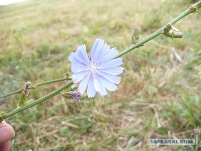 Степи Казахстана