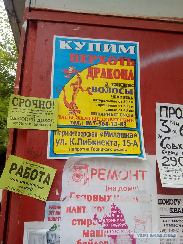 Ужасы и приколы из соцсетей 18+